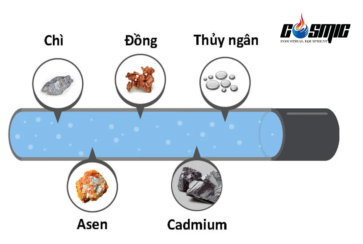 nguồn nước chứa kim loại nặng có thể ảnh hưởng đến hệ thần kinh