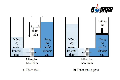 thẩm thấu ngược